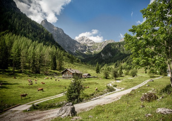 Almlandschaft in Flachauwinkl © TVB Flachau 